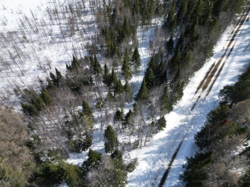 Vue d'ensemble - Rue Du Lac-Long S., Saint-Alphonse-Rodriguez, QC 