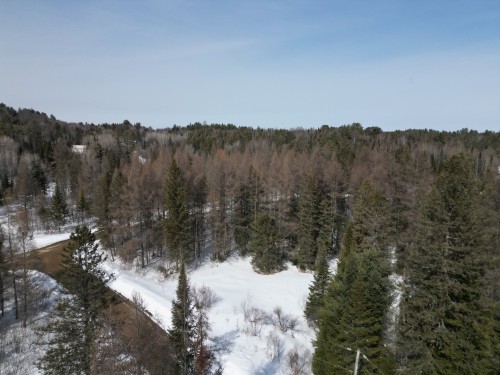 Vue d'ensemble - Rue Du Lac-Long S., Saint-Alphonse-Rodriguez, QC 