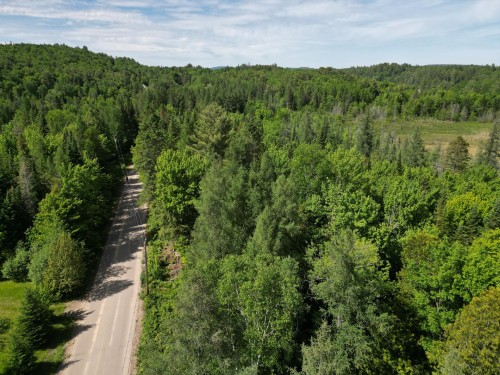 Rue - Rue Du Lac-Long S., Saint-Alphonse-Rodriguez, QC 