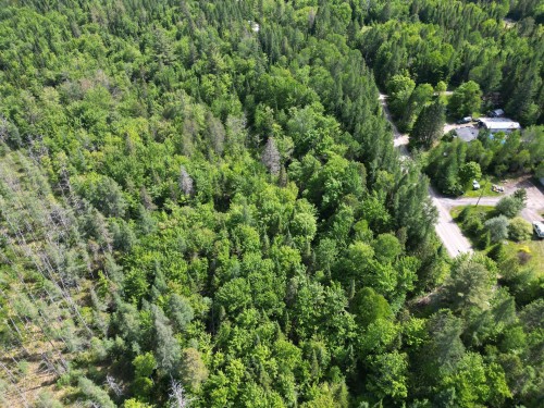 Vue d'ensemble - Rue Du Lac-Long S., Saint-Alphonse-Rodriguez, QC 