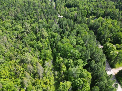 Vue d'ensemble - Rue Du Lac-Long S., Saint-Alphonse-Rodriguez, QC 