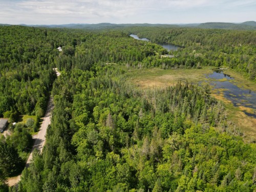 Vue d'ensemble - Rue Du Lac-Long S., Saint-Alphonse-Rodriguez, QC 