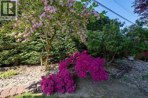 8071 Queen St, Crofton, BC - Outdoor