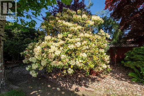 8071 Queen St, Crofton, BC - Outdoor