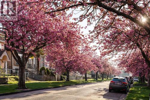 111 E 61St Avenue, Vancouver, BC - Outdoor