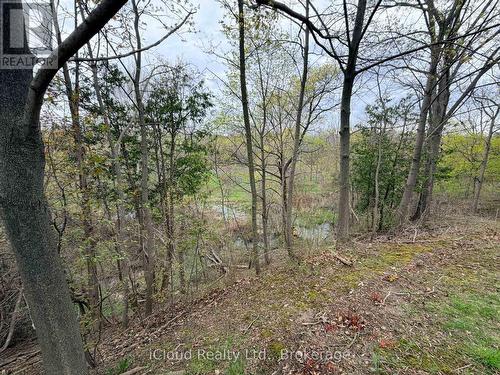It's Like Being at the Cottage! - 176 Wyndham Street, Mississauga, ON - Outdoor With View