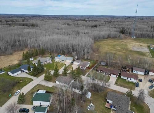Situated on the edge of town! - 19 Hunter Crescent, Pinawa, MB - Outdoor With View