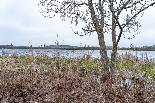 Extérieur - 200 Rue Water, Danville, QC - Outdoor With Body Of Water With View