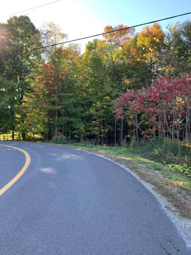Waterfront - Rue Des Cèdres, Bedford - Canton, QC 