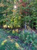 Terre/Terrain - 