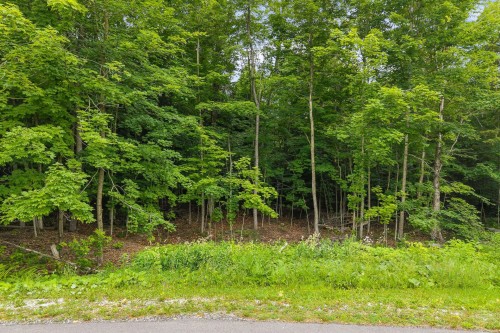 Lot - Rue Des Cèdres, Bedford - Canton, QC 
