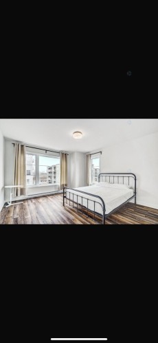 Chambre à coucher principale - 7-7200 Rue De Lunan, Brossard, QC - 