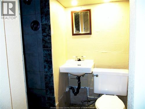 1063 Bruce, Windsor, ON - Indoor Photo Showing Bathroom
