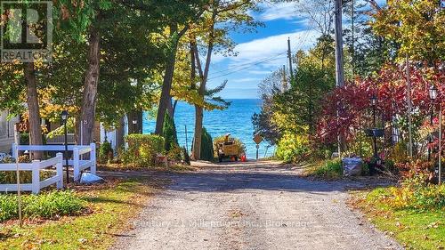 19 Hastings Avenue, Tiny, ON 