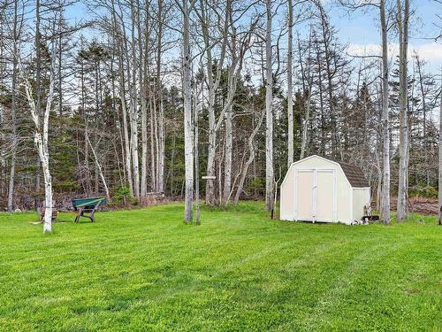 1744 Lingan Road, River Ryan, NS 