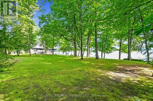 2021 Third Line, Douro-Dummer, ON - Outdoor