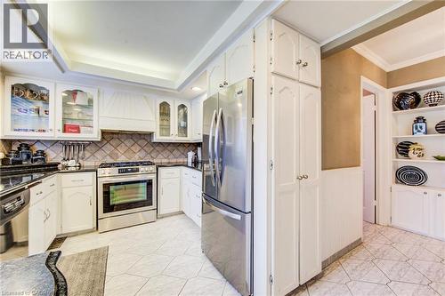 48 Lennox Crescent, Kitchener, ON - Indoor Photo Showing Kitchen With Stainless Steel Kitchen
