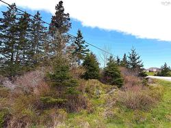 Lot 5, Lakeside Road  Dayton, NS B5A 5K3