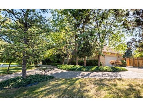 379 Elmgrove Drive, Lakeshore, ON 