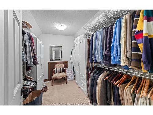 379 Elmgrove Drive, Lakeshore, ON 