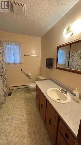 17 Juniper Drive, Kippens, NL - Indoor Photo Showing Bathroom