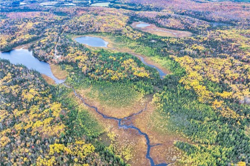 Terre/Terrain - Mtée Lortie, Rivière-Rouge, QC 