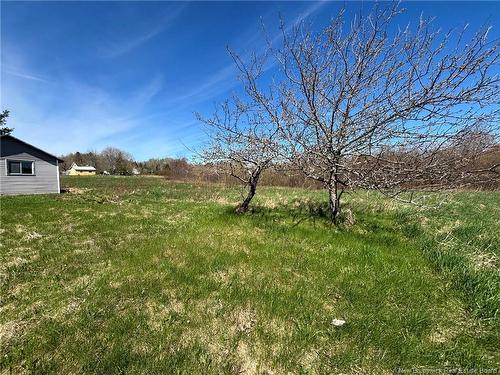 54 Mcwilliam Rd, Salisbury, NB 