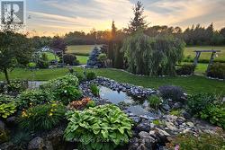 Peaceful pond - 