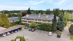 206-3225 Alder St  Saanich, BC V8X 1P3