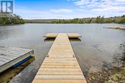 761 EMSDALE LAKE ROAD  Kearney, ON P0A 1M0