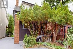 81 BOWOOD AVENUE Toronto, ON M4N 1Y3