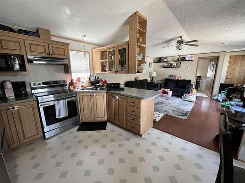 7 Short Forest Drive, Ear Falls, ON - Indoor Photo Showing Kitchen