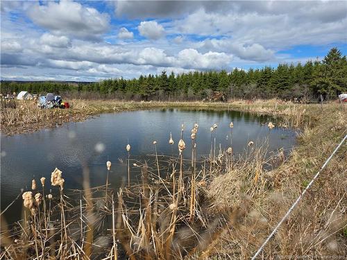- Laplante Rd, Saint-Léonard-Parent, NB 