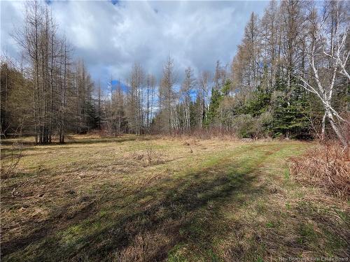 - Laplante Rd, Saint-Léonard-Parent, NB 