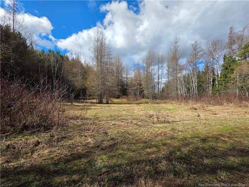 - Laplante Rd, Saint-Léonard-Parent, NB 