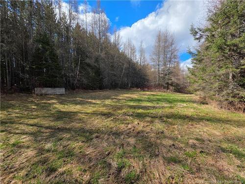 - Laplante Rd, Saint-Léonard-Parent, NB 