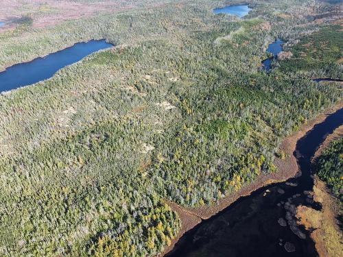 0 Larry'Sriver Rd, Lundy, NS 