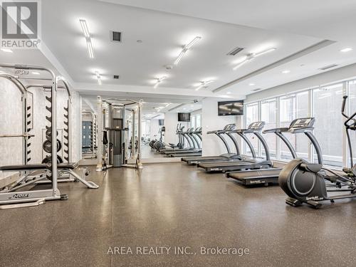 2009 - 58 Orchard View Boulevard, Toronto, ON - Indoor Photo Showing Gym Room