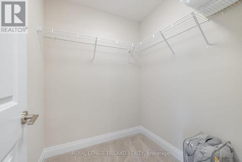 778 Banyan Lane, London North (North E), ON - Indoor Photo Showing Basement