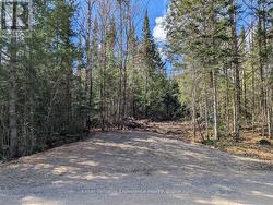 1363 ECHO RIDGE ROAD Kearney, ON P0A 1M0