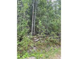 Greaves Road Lot# 24 Eagle Bay, BC V0E 1T0