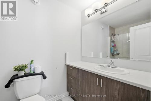 520 Stadacone Row, Ottawa, ON - Indoor Photo Showing Bathroom