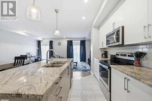 520 Stadacone Row, Ottawa, ON - Indoor Photo Showing Kitchen With Stainless Steel Kitchen With Double Sink With Upgraded Kitchen