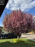 203 Gustin Crescent, Saskatoon, SK  - Outdoor 