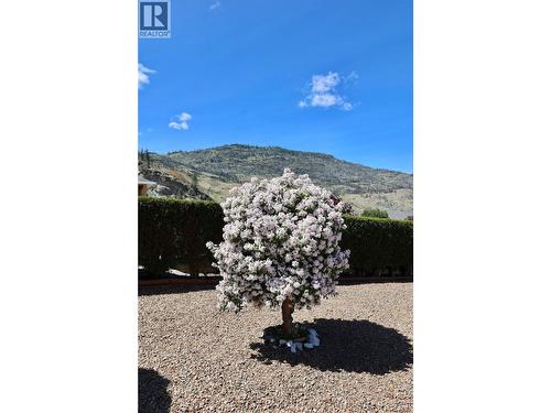 11900 Olympic View, Osoyoos, BC - 