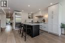333 St Paul Street, Burlington, ON  - Indoor Photo Showing Kitchen With Upgraded Kitchen 