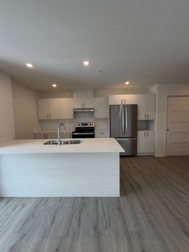 Cuisine - 201-416 Av. Barron, Lachute, QC - Indoor Photo Showing Kitchen With Double Sink