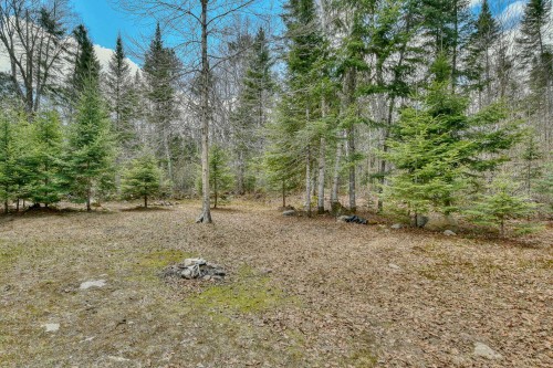 Cour - 589 Ch. Du Lac-Sylvère, Saint-Donat, QC - Outdoor