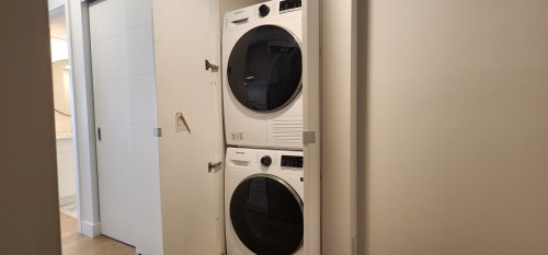 Laundry - 303-1 Av. Viger O., Montréal (Ville-Marie), QC - Indoor Photo Showing Laundry Room