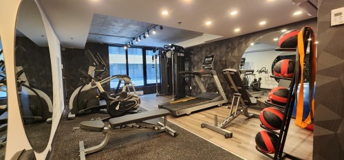 Exercise Room - 303-1 Av. Viger O., Montréal (Ville-Marie), QC - Indoor Photo Showing Gym Room